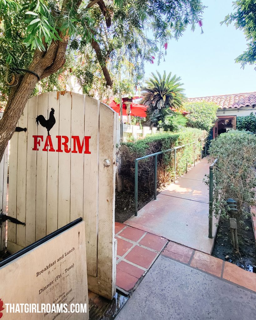 Where's the best brunch in Palm Springs? It's FARM - in the heart of downtown.